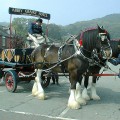 Abbey Grange Brewers Dray
